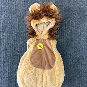 Adorable Lion Costume for Kids